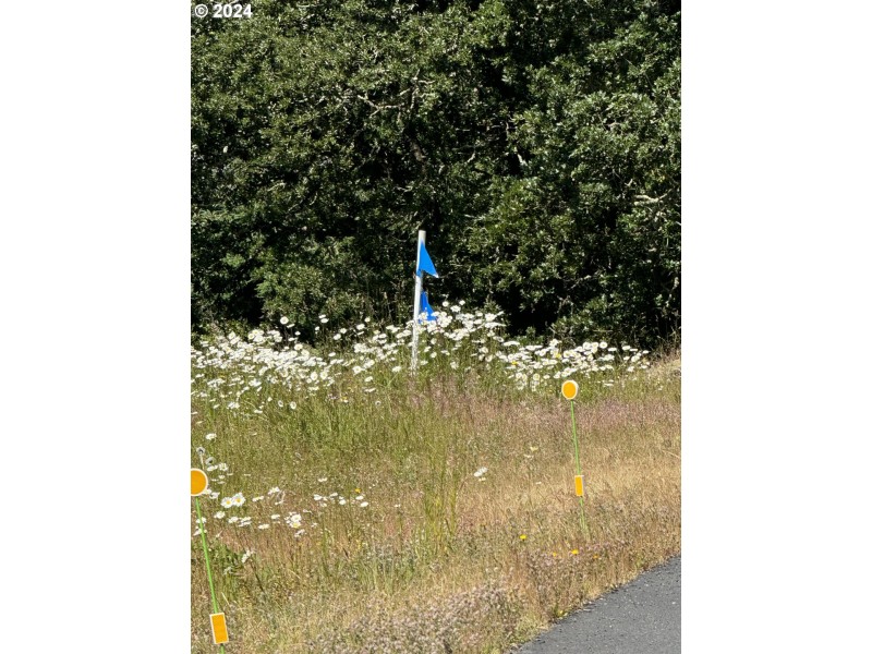 Approximate Property Lines