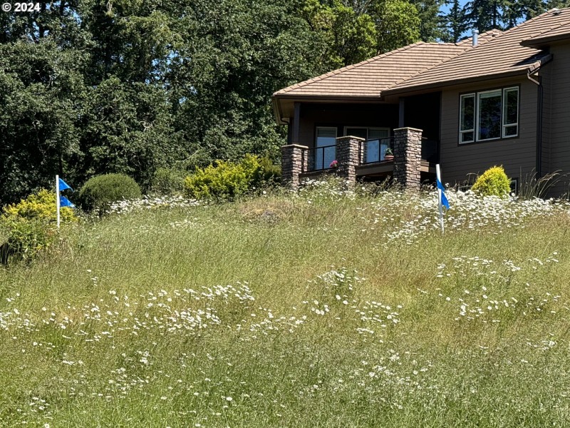 Approximate Property Lines