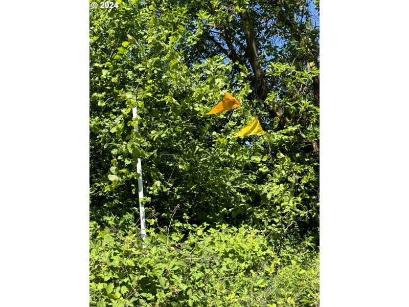 Approximate Property Lines