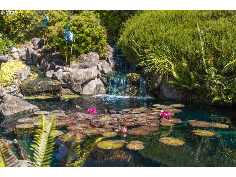 Water Feature