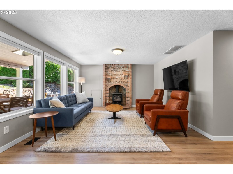 Fireplace Wood Burning Stove/Insert