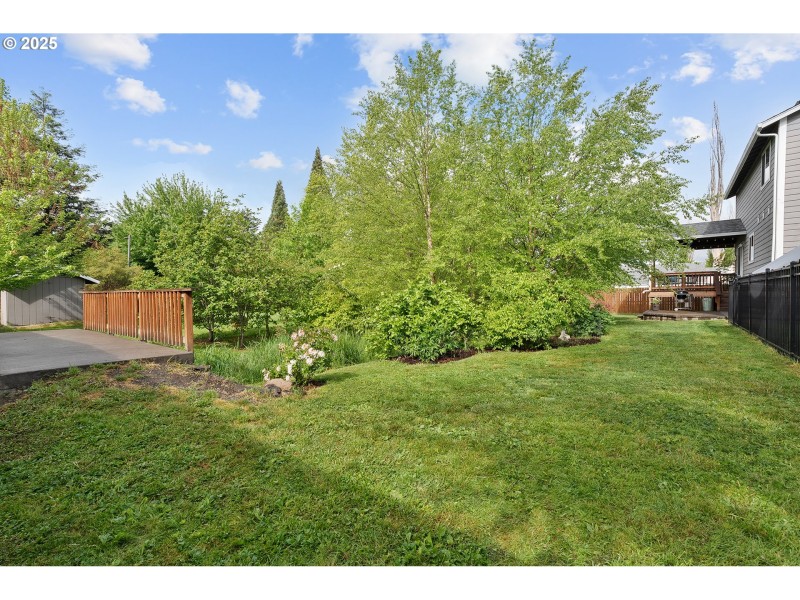Backyard