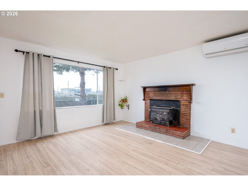 Fireplace Wood Burning Stove/Insert