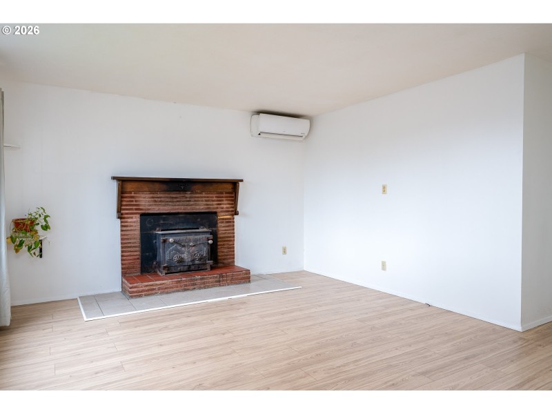 Fireplace Wood Burning Stove/Insert