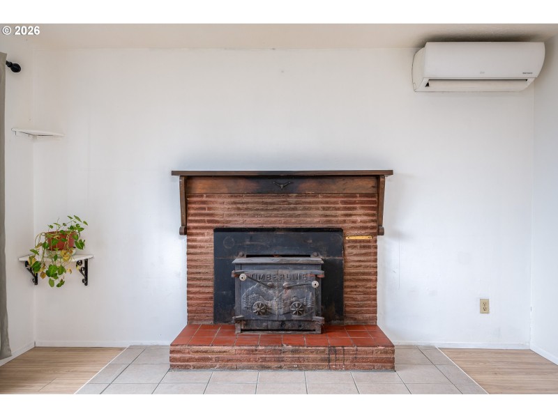 Fireplace Wood Burning Stove/Insert