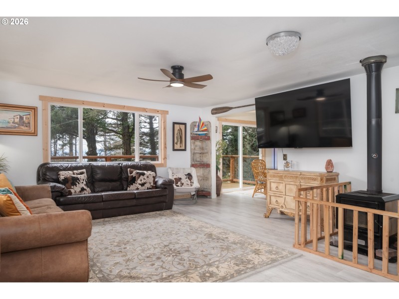 Fireplace Wood Burning Stove/Insert