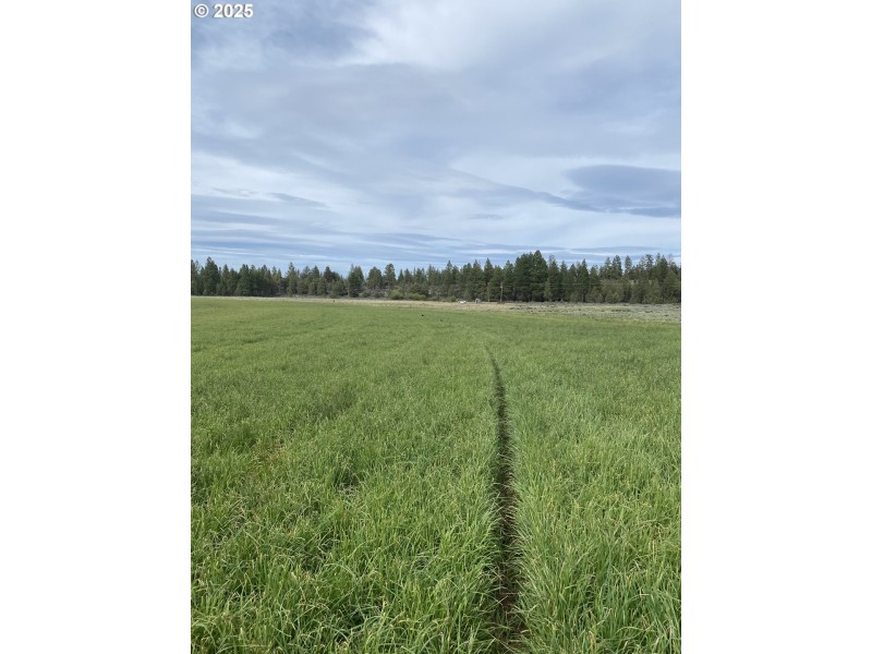 Pasture