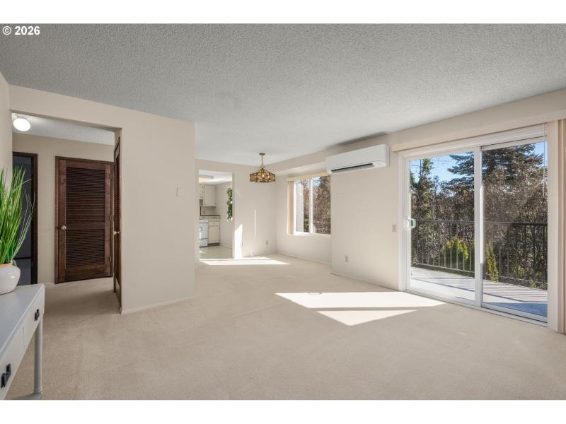 Living Room/Entrance