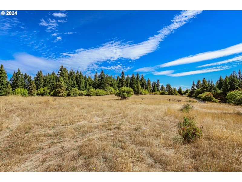 Pasture
