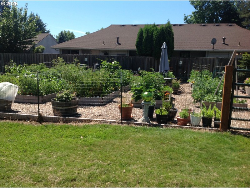 Community Garden