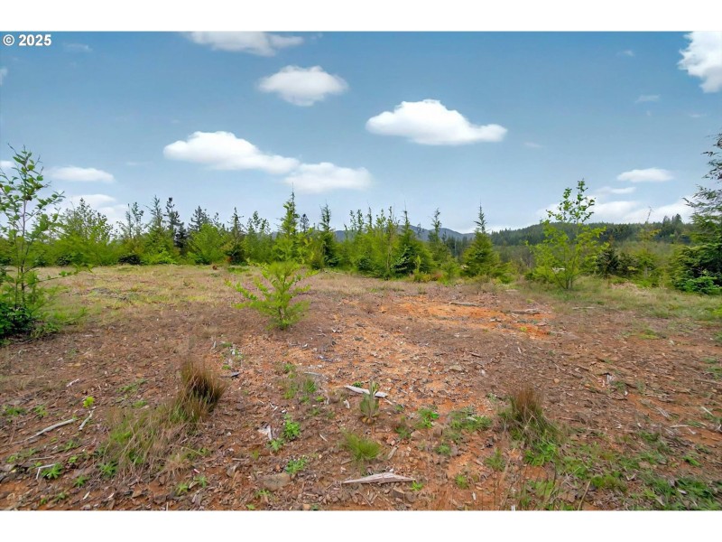 Home Site