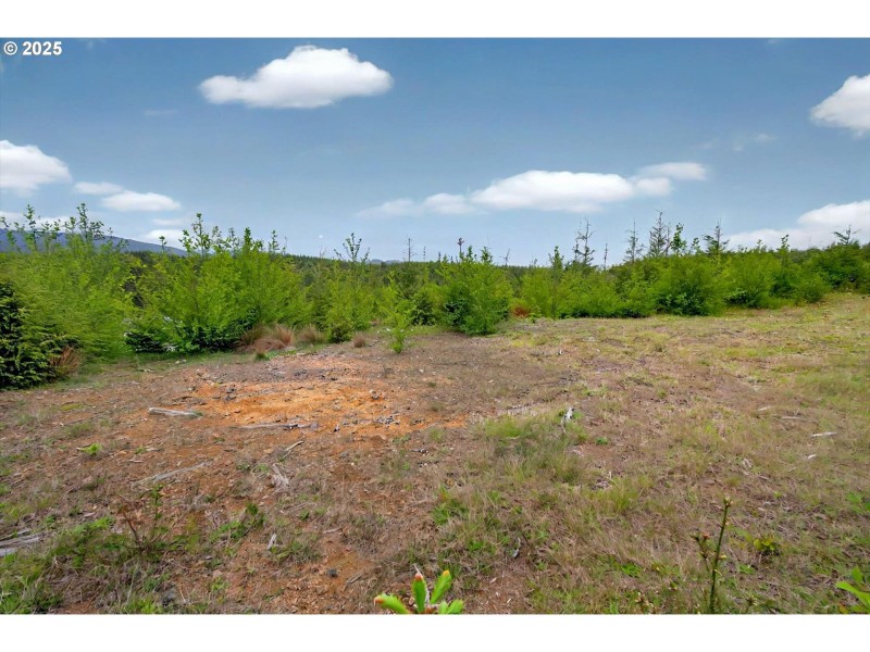 Home Site