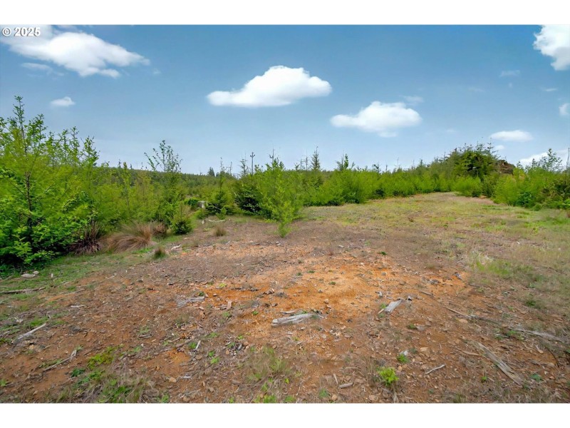 Home Site