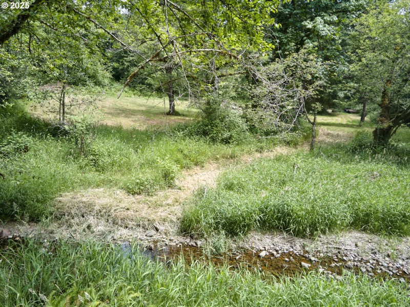 Creek