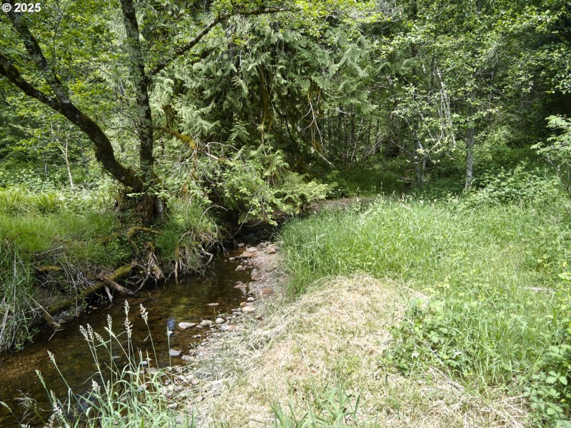 Creek