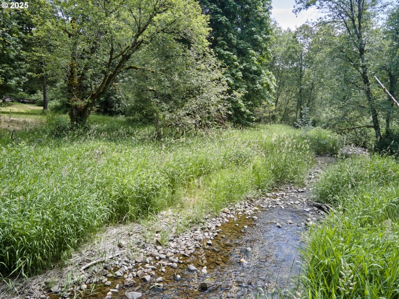Creek