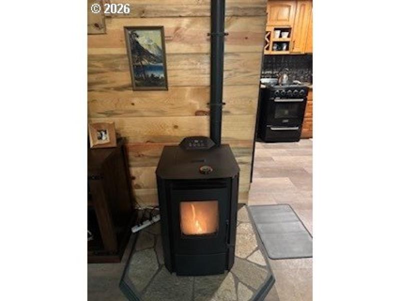 Fireplace Pellet Stove