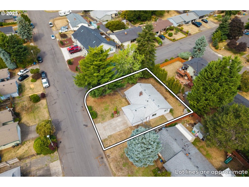 Drone View/UAV