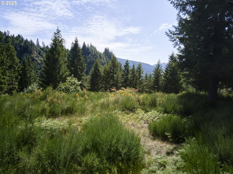 Acreage