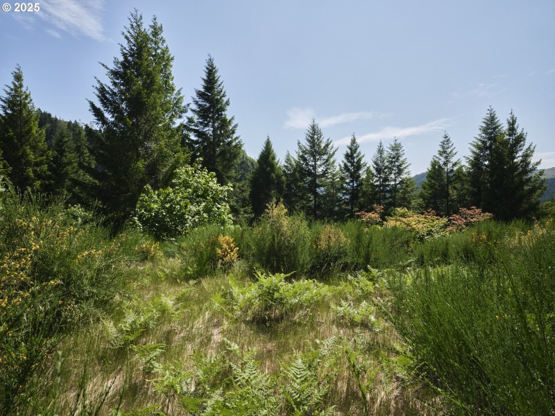 Acreage