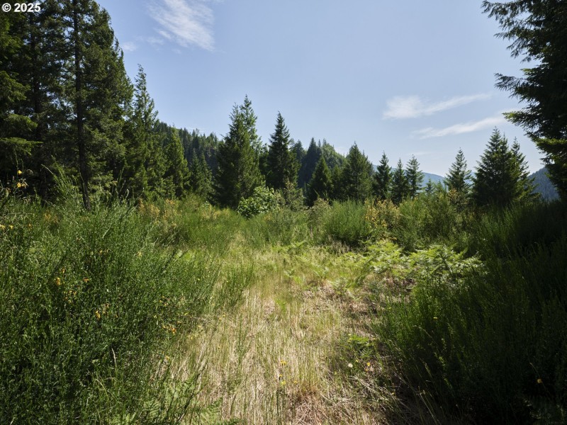 Acreage