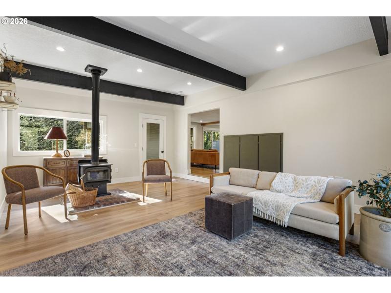 Fireplace Wood Burning Stove/Insert