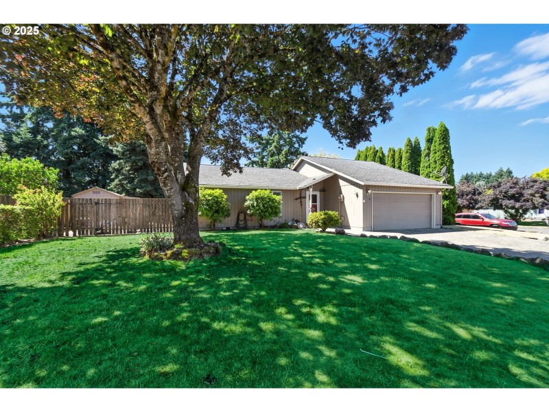 Front Yard