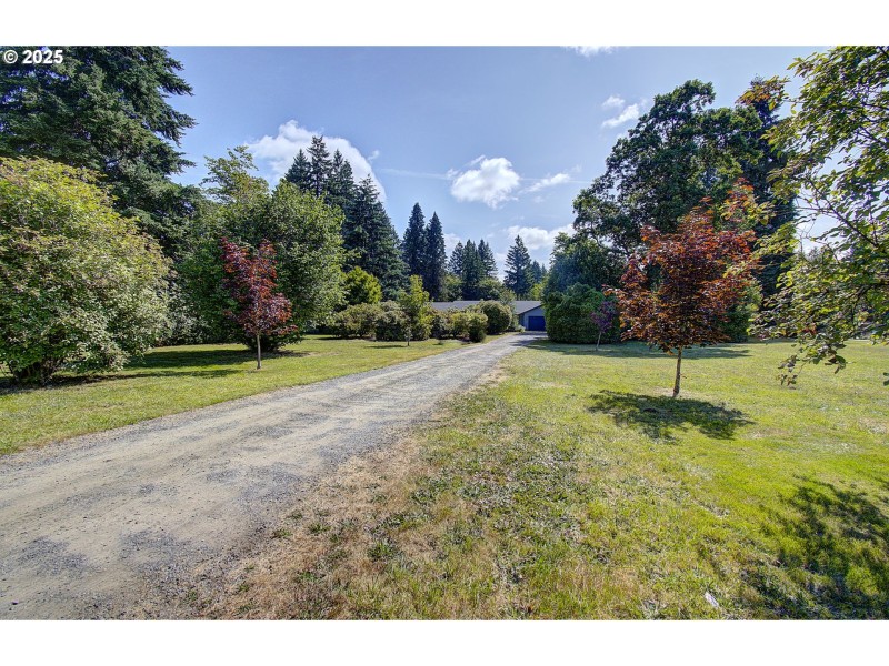 Driveway