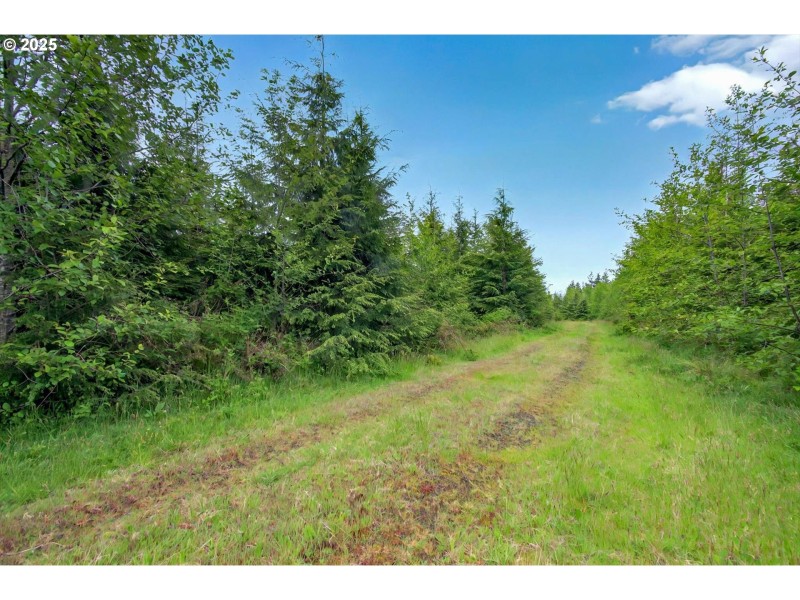 Acreage
