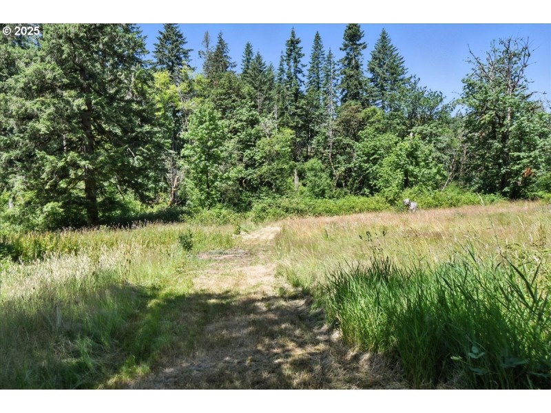 Acreage