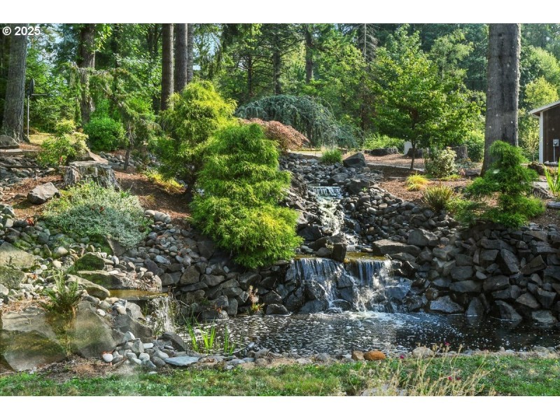 Water Feature