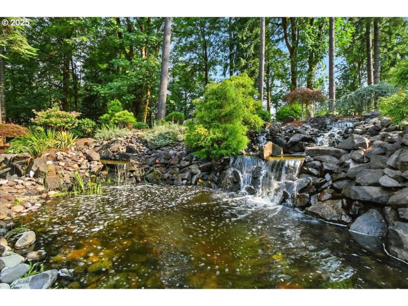 Water Feature