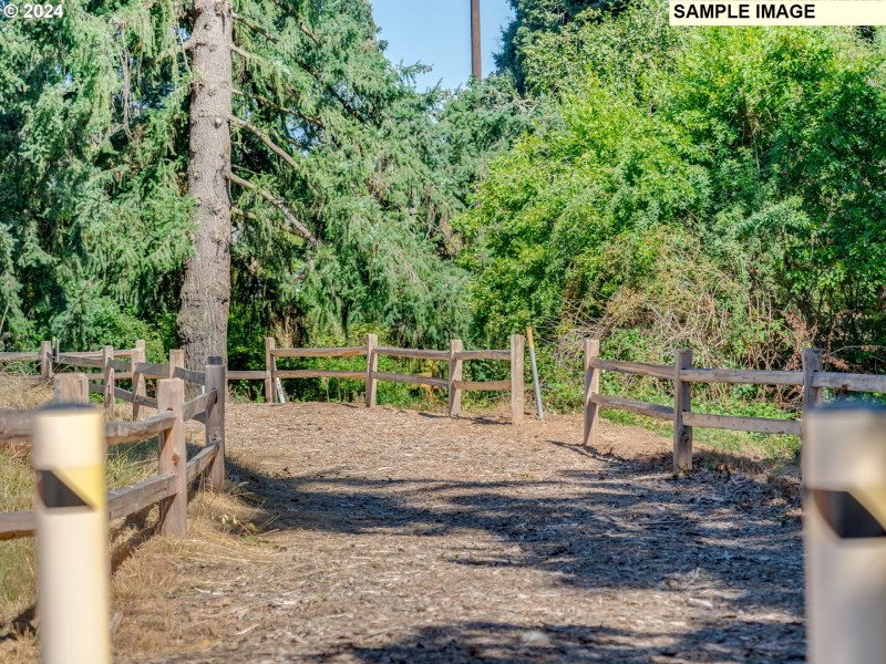 Community Amenities