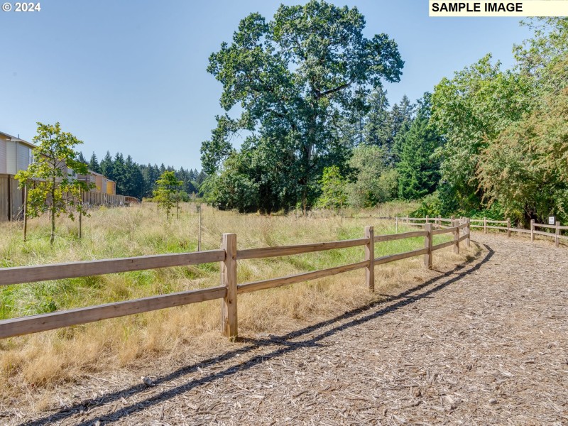 Community Amenities