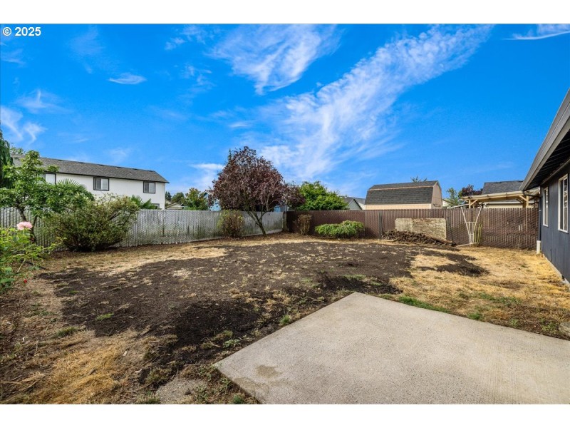 Backyard
