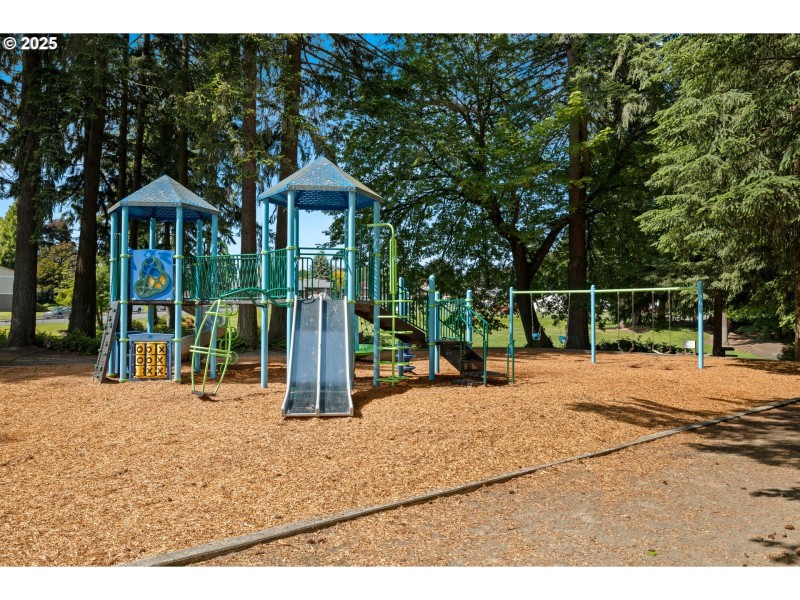Community Park