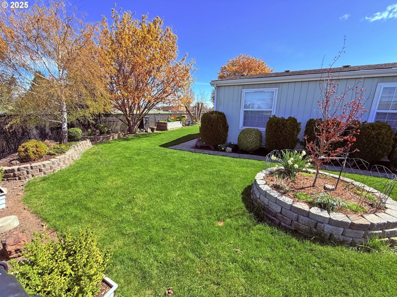 Front Yard