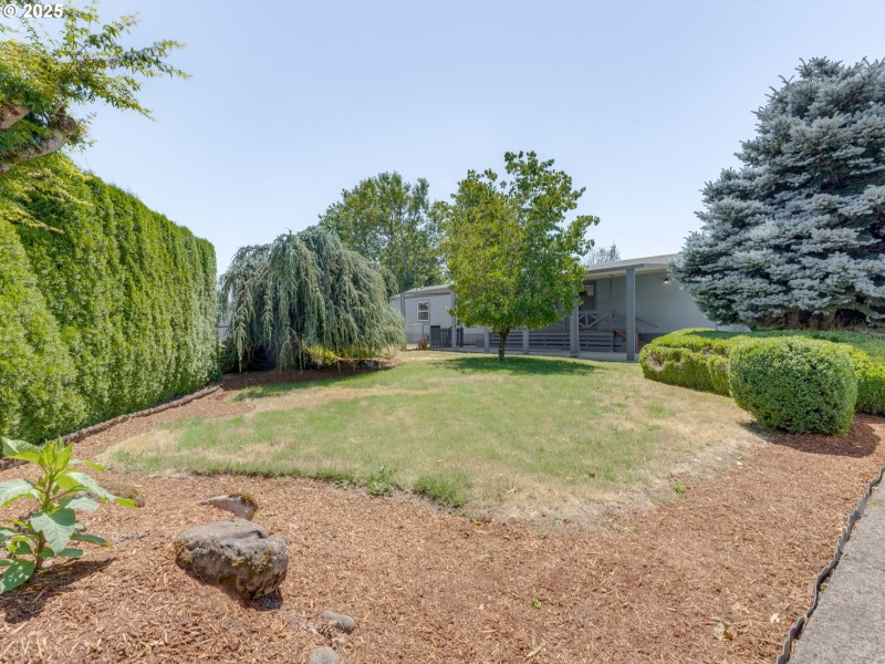 Yard