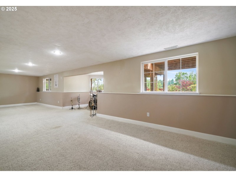 Finished Lower Level