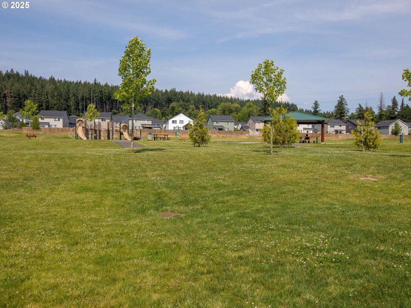 Community Park