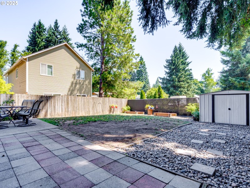 Backyard