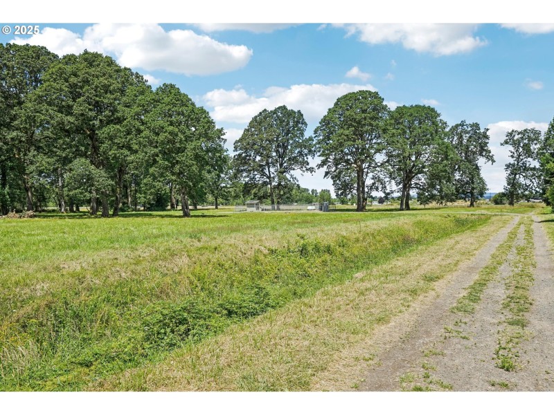 Community Park