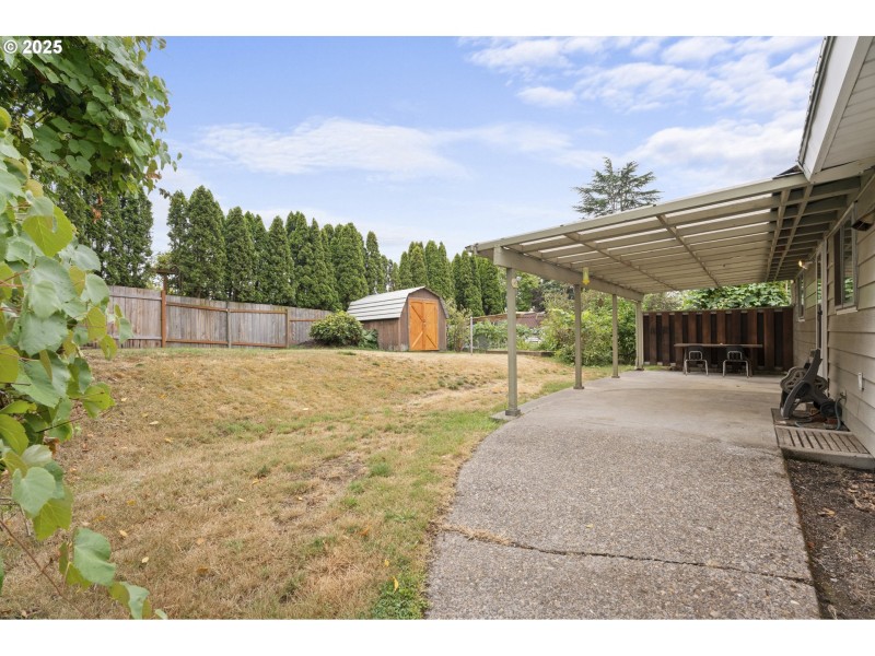 Backyard