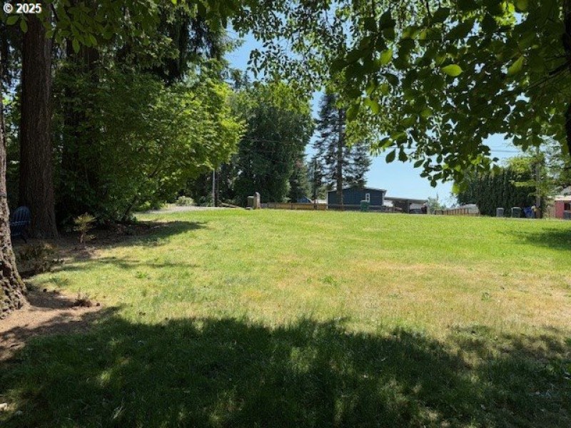Front Yard