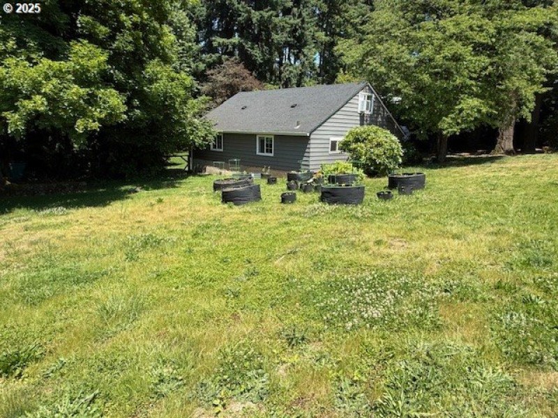 Front Yard