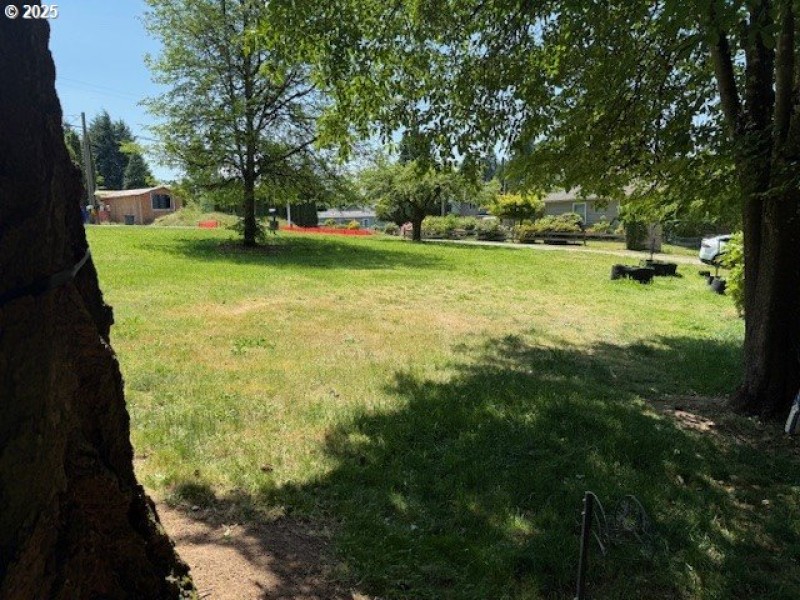 Front Yard