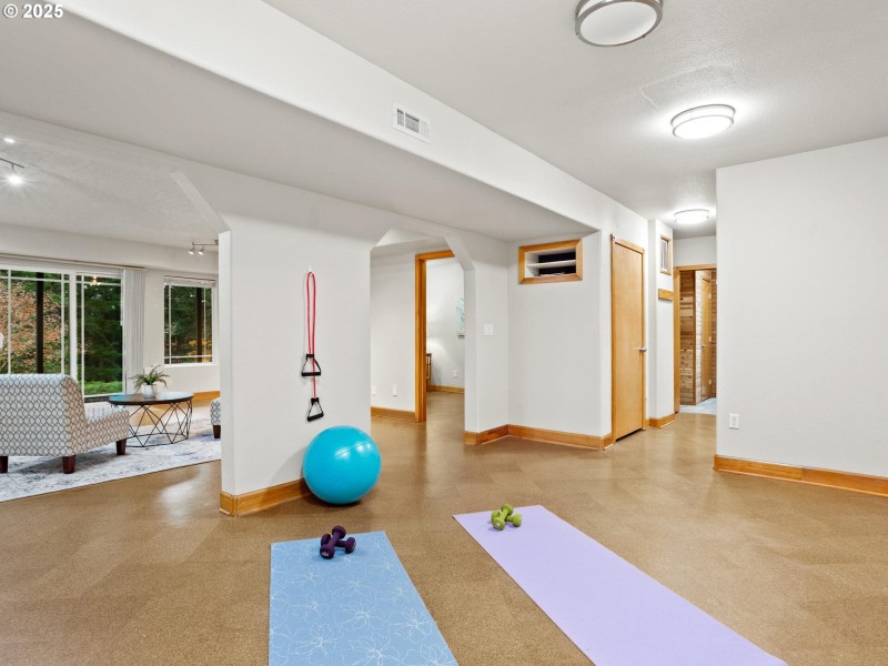 Finished Lower Level