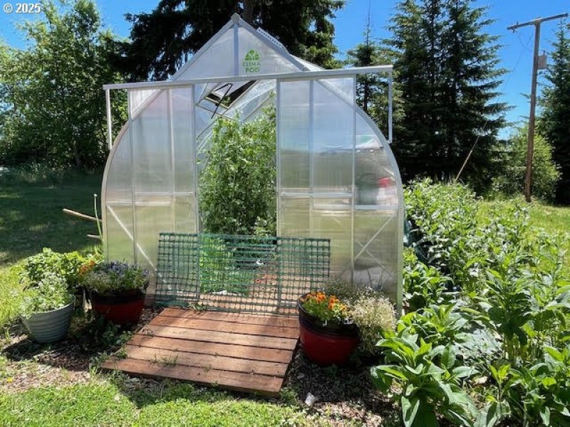 Greenhouse