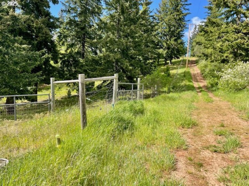 Acreage