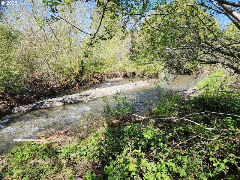 Creek